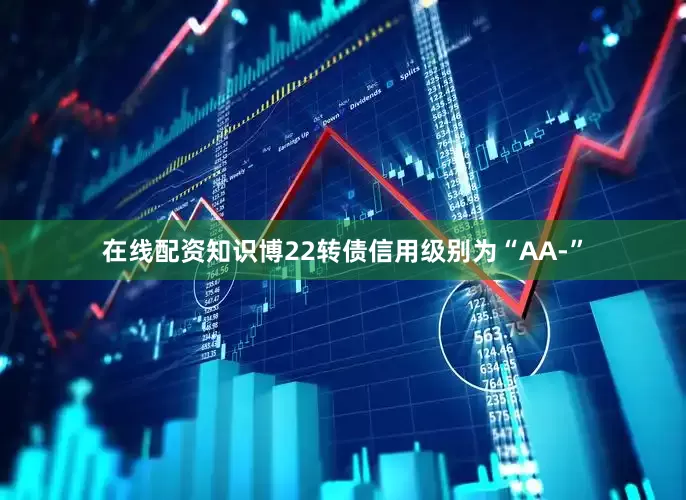 在线配资知识博22转债信用级别为“AA-”