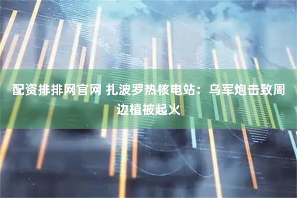 配资排排网官网 扎波罗热核电站：乌军炮击致周边植被起火