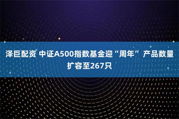 泽巨配资 中证A500指数基金迎“周年” 产品数量扩容至267只