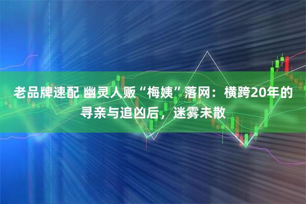 老品牌速配 幽灵人贩“梅姨”落网:横跨20年的寻亲与追凶后,迷雾未散