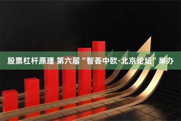股票杠杆原理 第六届“智荟中欧·北京论坛”举办